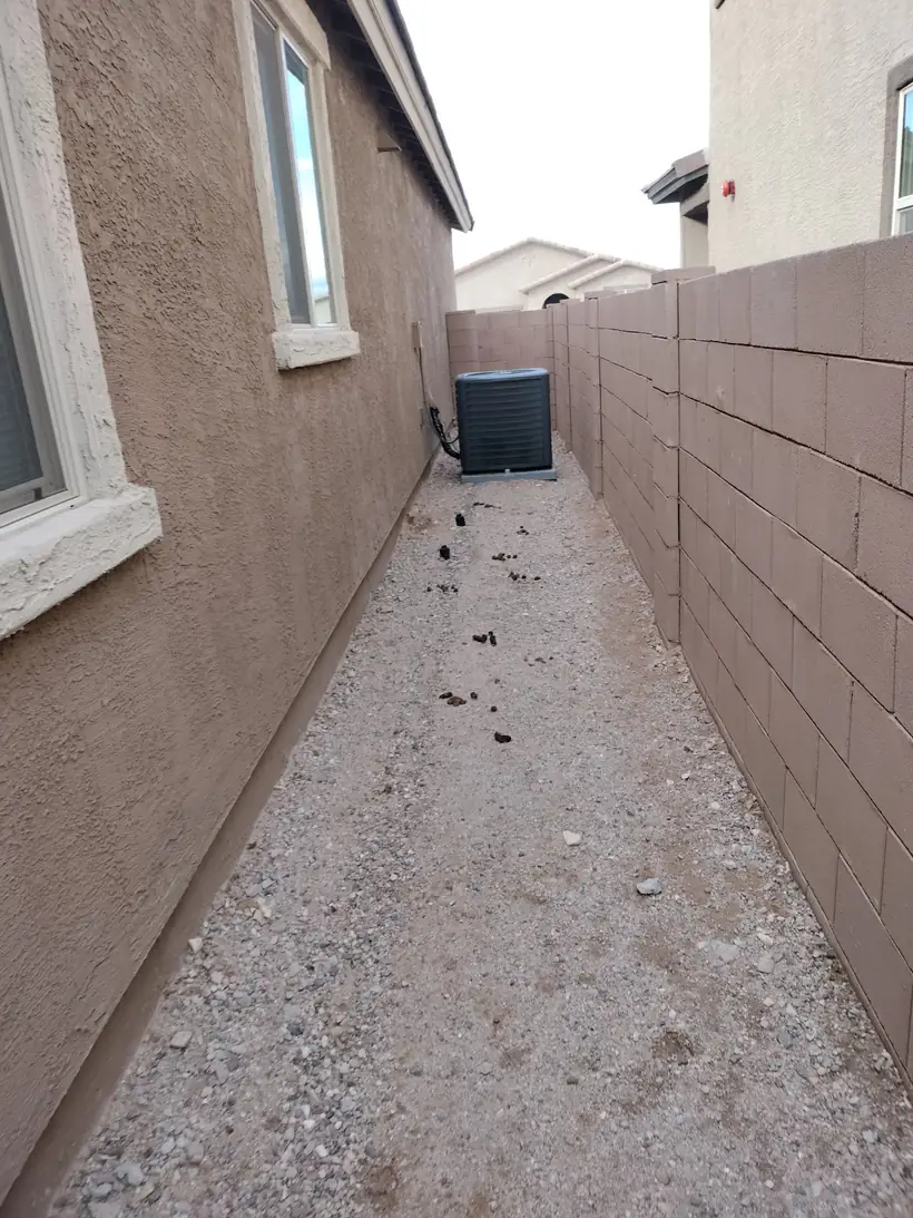 Tucson side yard with visible dog waste along the perimeter